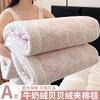 Winter Milk Flannel Blanket 3-piece Set Thickened Quilted Warm Office Nap Blankets Single Double Soft Plush Comforter Pillowcase