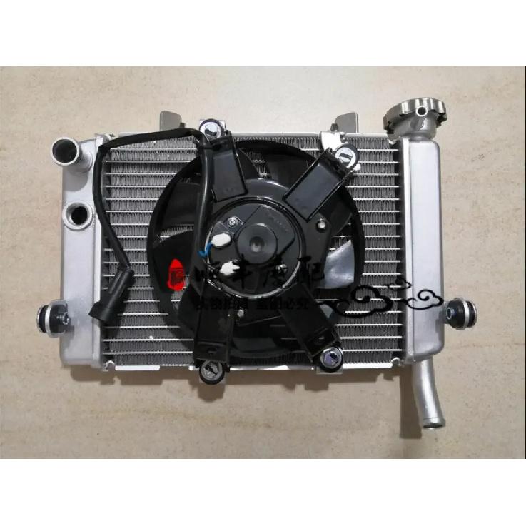 Radiator water cooling system water cooler of Benelli TNT250 BJ 250-15 15A 15E Benelli water tank