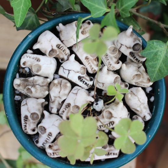 20 Pcs Dragon Skull Miniatures Mini Resin Dragon Skull Heads Decorative Dragon Skull Vase Fillers for Potted Plants Aquarium Garden Landscaping