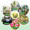 LED Indoor Angel Ring Plant Growth Light 2/4/8H On/Off Timer USB 5V Retractable Height Full Spectrum Simulated Sunlight Plant