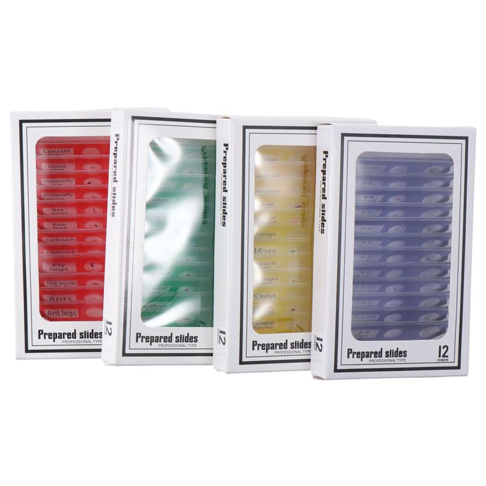 Plastic Microscope Slides Sample Specimens Animals Insects Plants Flowers Microscope Sample Prepared Slides Multicolor