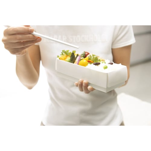 Hosho Foldable Flat Lunch Box, Medium, Hana, Reusable, LB-085-MHA