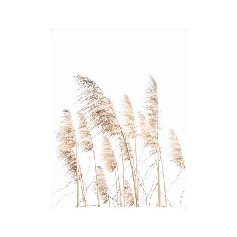 Nowoczesny Nordycki Obraz Płócienny z Kwiatami Trawy, Boho Nadmorski Krajobraz, Plakat i Druk na Ścianę do Dekoracji Domu, Salonu