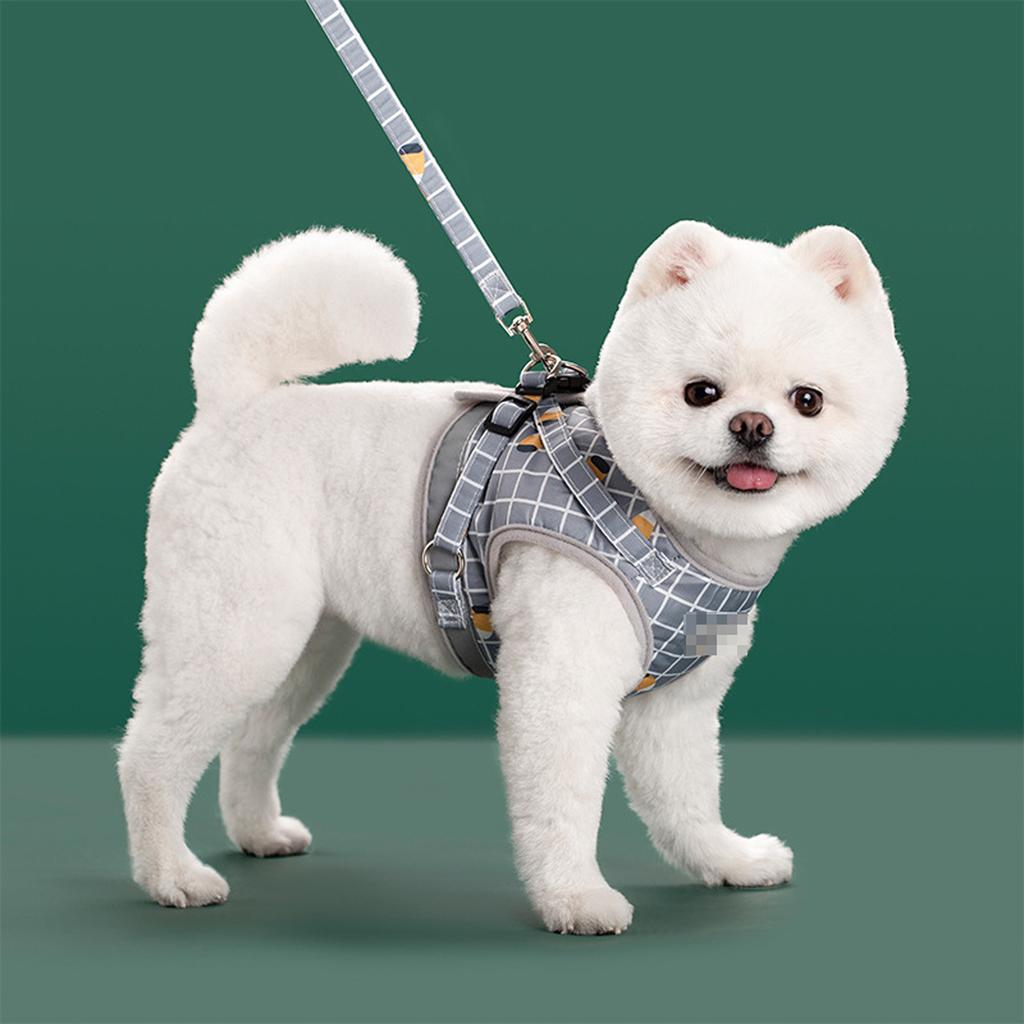Nylon Mesh Welpen Reflektierende Hunde Und Leine Set Hunde Weste Leinen Haustier Kleidung Für Kleine Hunde
