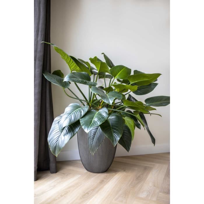 CAPI EUROPE Vase élégant GROOVE - 46x58 cm - Anthracite - 100% recyclable