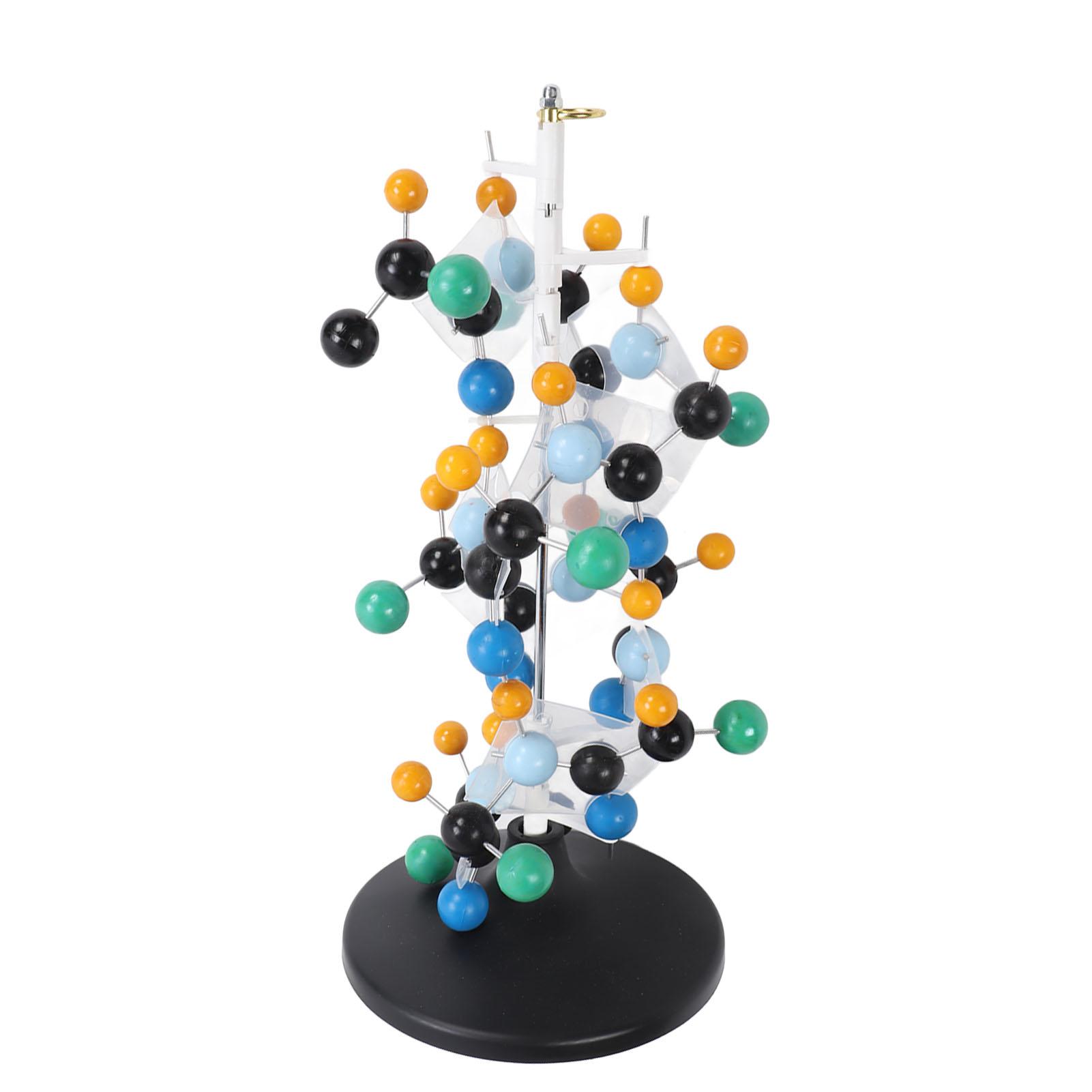 Protein Molecular Model Plastic QH3212‑2 Molecular Structure Model for Classroom School plastic