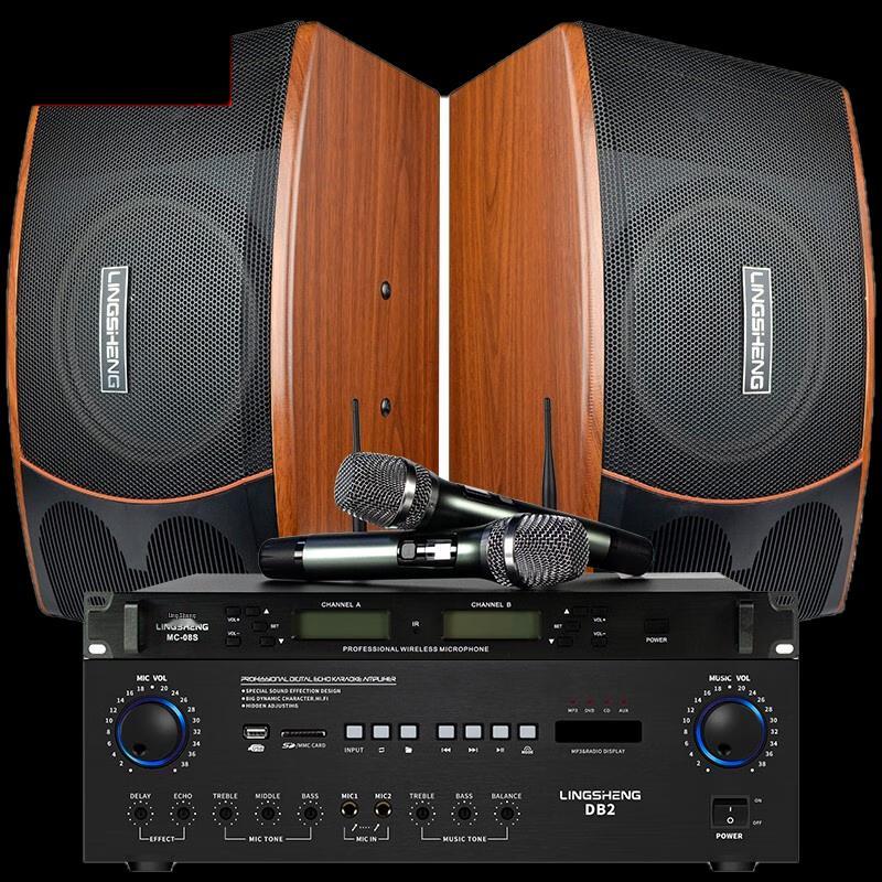 LINGSHENG Home Karaoke System with Speakers