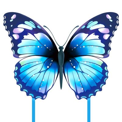 Kite Kite Butterfly Kite Kite Flying Flying Well Kite Flying Blue