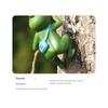 Outdoor Garden Climbing Animal Statues Hanging Animal Figurine with Hook Frogs/Rabbit Figurines for Wall Balconys Decors