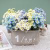 Party Supplies Simulation Chamomile Home Decorations Faux Chrysanthemum Artificial Flowers