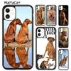 Telefon kapları – Smartphone Bumper Kılıflar