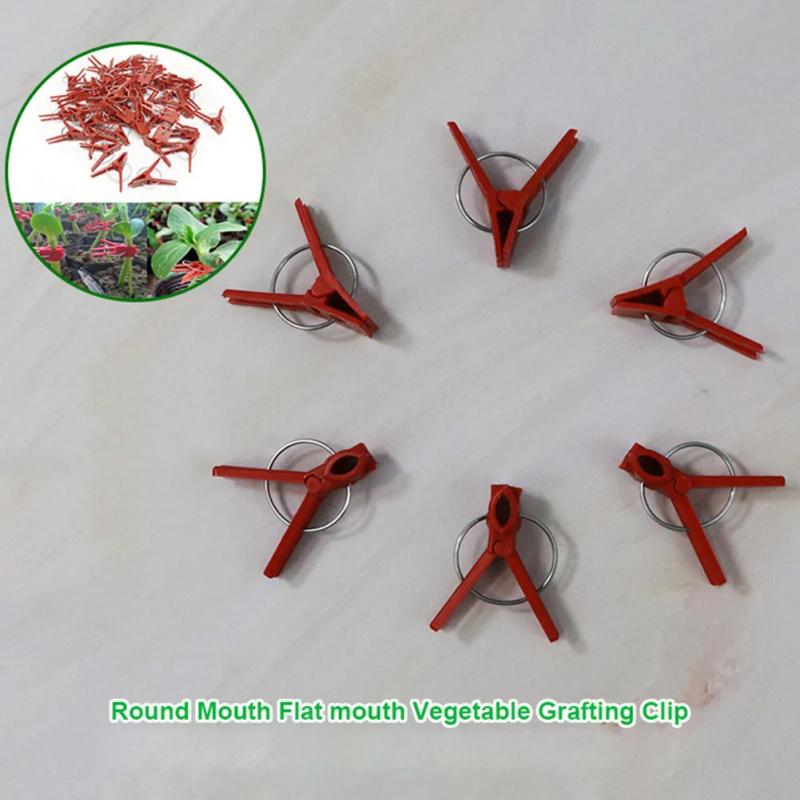 100pcs Garden Tool Graft Clip Graft Clamp For Novice Enthusiast Stable Connection Versatile Ample Quantity Plastic