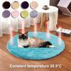 Electric Pet Heat Pad Heater Mat Blanket Dog Cat USB Warmer Bed Winter Plush