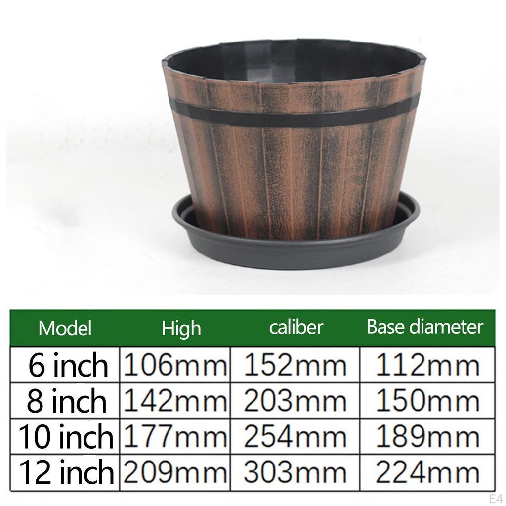 Container for Plants with Drainage, Versatile Planter Kitchen and Living Room