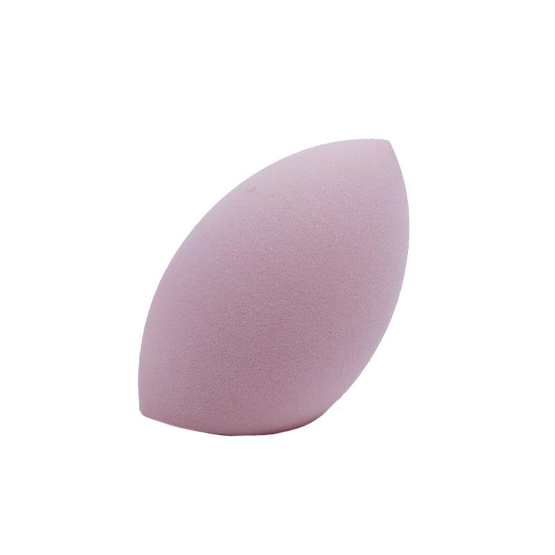 Makeup Sponge Makeup Puff Set Foundation Sponge Puff Wet and Dry Makeup Tools