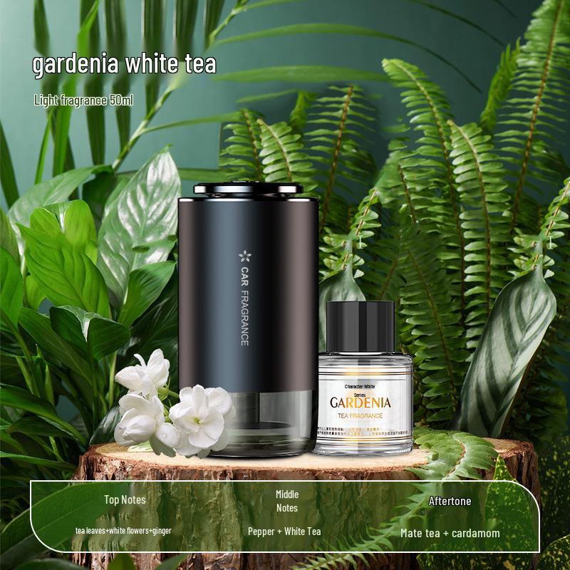 Starry Sky Smart Aroma Diffuser: Dual-Use Misting Perfume with Floral Scent & Atmosphere Light for Car and Home