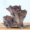 Resin Succulent Flowerpot Imitation Tree Root Shape Suitable for Creative Indoor Outdoor Arrangements and Artistic Charm