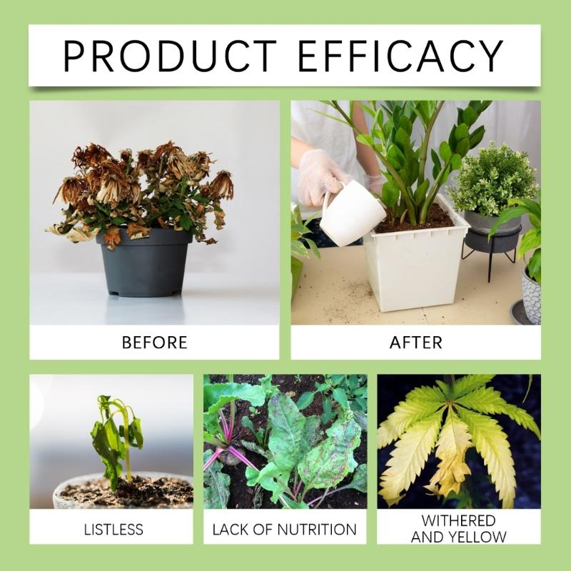 Plant Growth Support Sticks Improve Nutrient Enhances Soil Condition and Increase Resistance Perfect for Gardens Farms