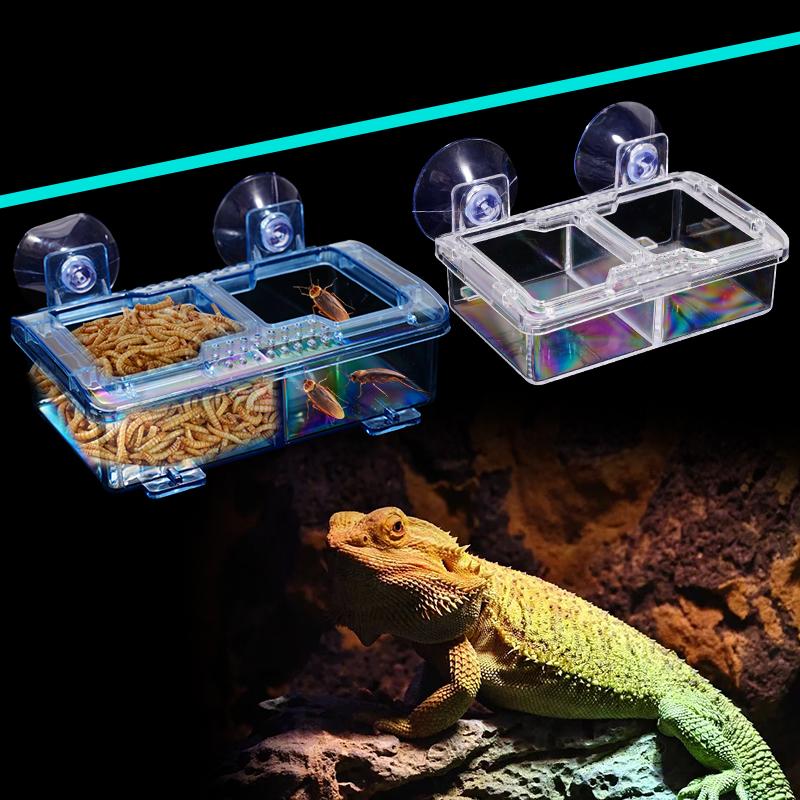 Reptilien Futtertränke mit Saugnapf Ausbruchsicher Reptilien Futternapf Für Schildkröte Gecko Schlangen Chamäleon Leguan Futternapf