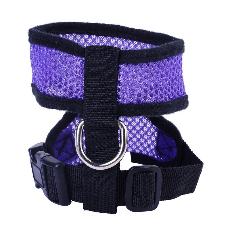 magellan dog collar