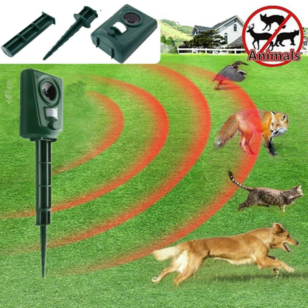 motion sensor dog repellent