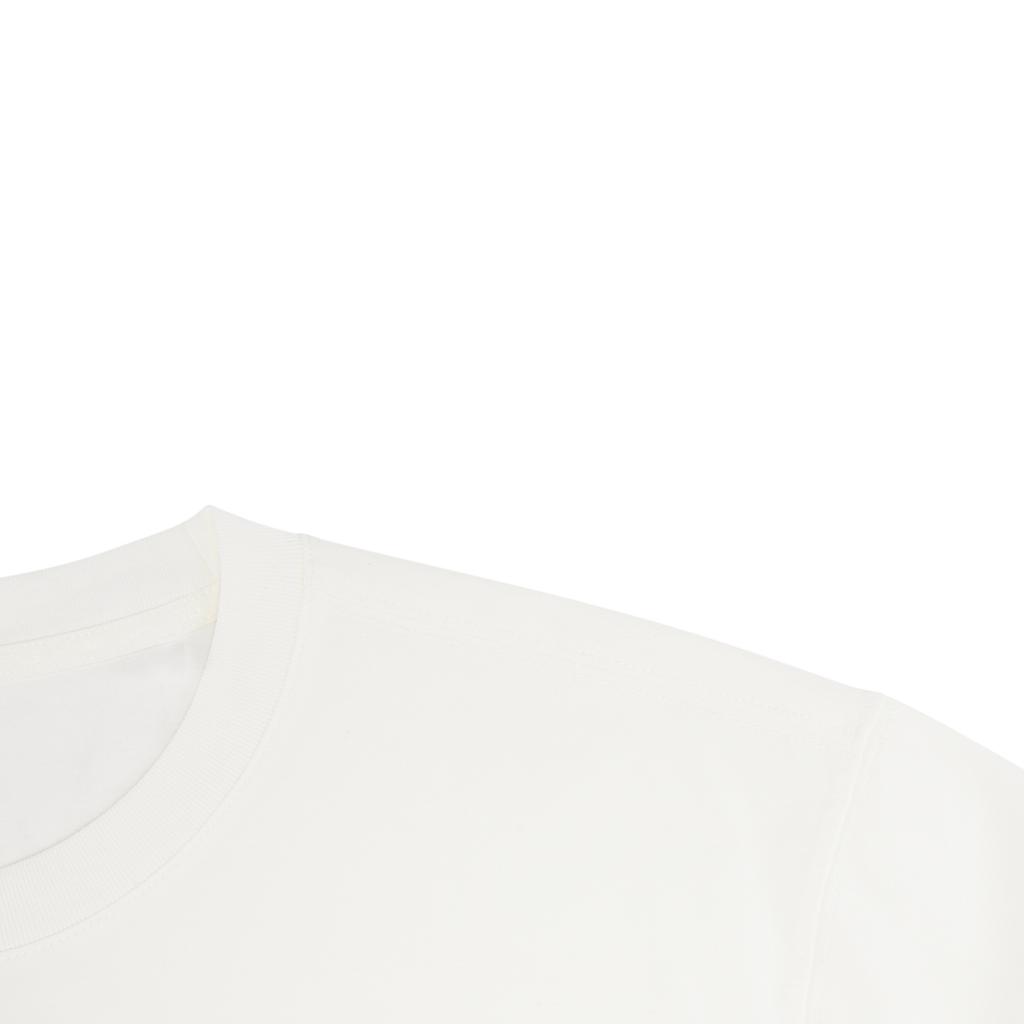 Li Ning Sports Life Collection Short Sleeved T Shirts Men's AHSW277-1