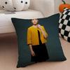 AAlison Hendrix Cushion Cover Throw Pillow Cover Hidden Button Durable Polyester Chair Cushion