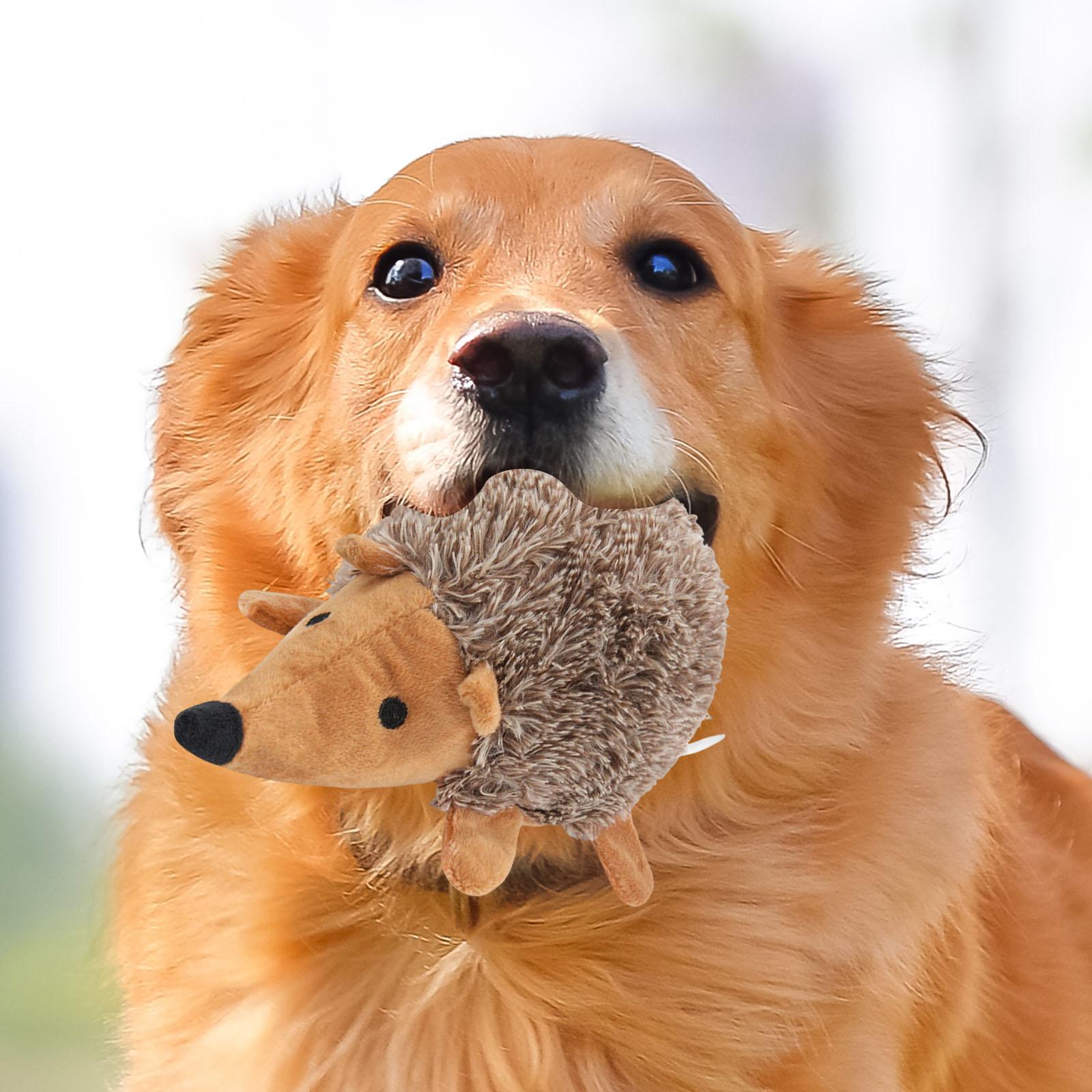 Pet Plush Interactive Toy Bite-Resistant Cute Soft Dog Chewing Toy Dog Interactive Throwing Toy Pet Teeth Grinding & Cleaning China Mainland