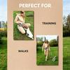 Silikon-Snackbeutel für Haustiere mit verstellbarem Hüftgurt für das Hundetraining und die Fütterung im Freien