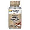Fermented Organic Royal Agaricus, Mushrooms, 60 Organic Capsules (500 Mg Per Capsule)