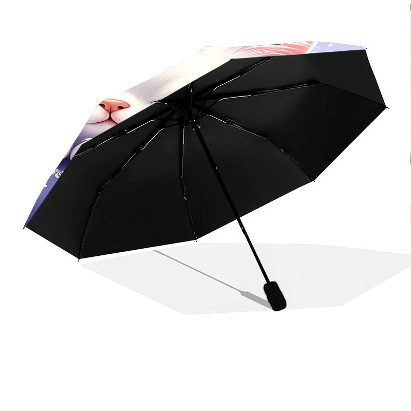 Parapluie de Pluie Motif Chat Endormi Mignon