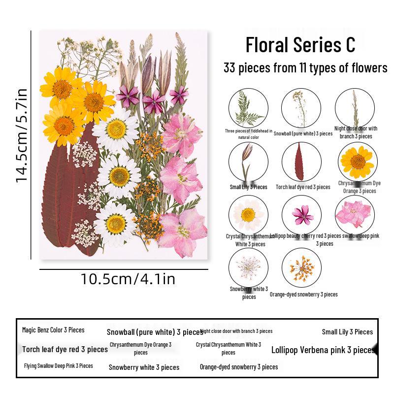 DIY Dried Flower Specimen Sticker Set for Kids: Handmade Pressed Flower Frames & Resin Bookmark Craft Kit