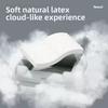 Nid pour Chat à Température Constante Intelligente Couverture Chauffante Électrique Hivernale Noyau en Latex Lits pour Animaux de Compagnie Réglage Multi-Niveaux Chenil pour Chien