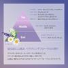 Coenrich The Premium Medicated Wrinkle Night Hand Cream 60g
