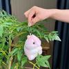 Cotton Highquality Pp Filled Hamster Plush Toy Keychain Perfect For Children Collectors And