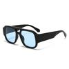 JYL TS Double Bridge Sunglasses Unisex UV Protection Versatile QZ1063-3935