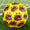 Bola de Futebol Tamanho 5 Tema Alvin e os Esquilos, Adequada para Jogos Indoor e Outdoor, um Presente Adequado para Todos.