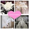 Sizes DIY Natural Accessories Colorful Party Home Decor Plumas Ostrich Feathers Clothing Decoration