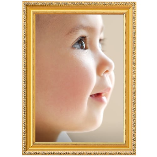 KOKUYO Picture Frame Gold Poppy Certificate A4 Ka-33N