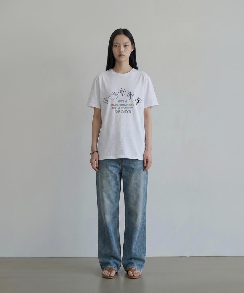 Heombeulakaibeu Archive11 Weather Collector Short Sleeve T-Shirt