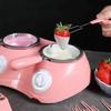Chocolate Melting Pot with Dual Bowls, 2-Speed Temperature Fondue Maker, Chocolate Melter DIY Moulds for Cheese, Butter