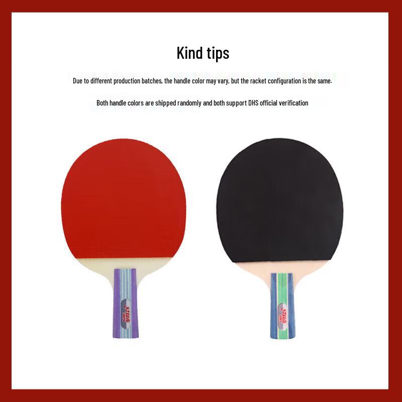 DHS 1-Star Beginner Penhold Table Tennis Racket