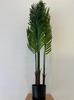 Artificial Areca Palm Hawaiian Plant In A Realistic Pot 120Cm Nice