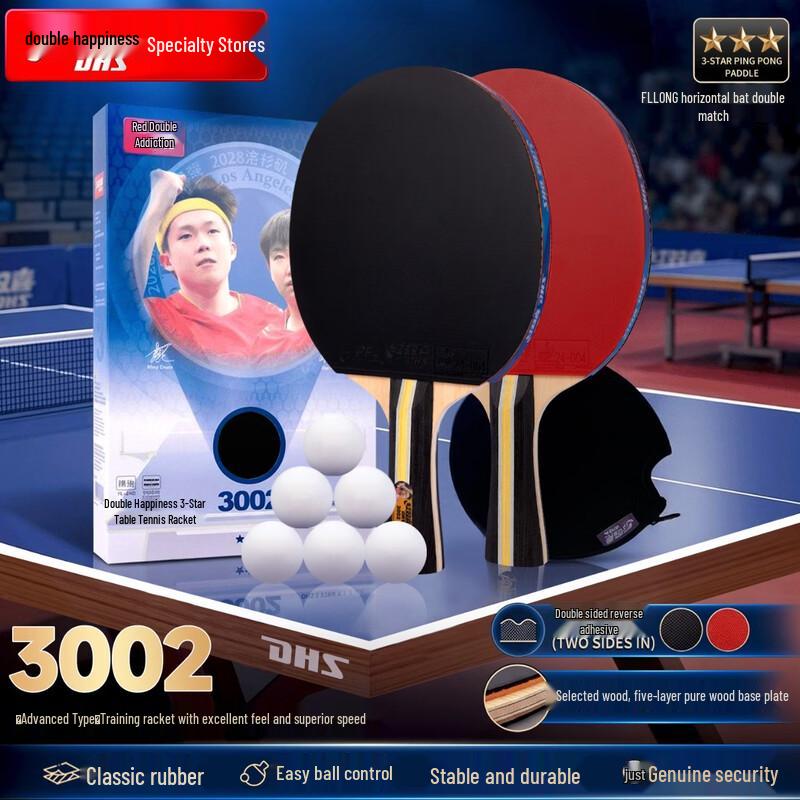 DHS F3002 1-Star Table Tennis Racket Pair Set