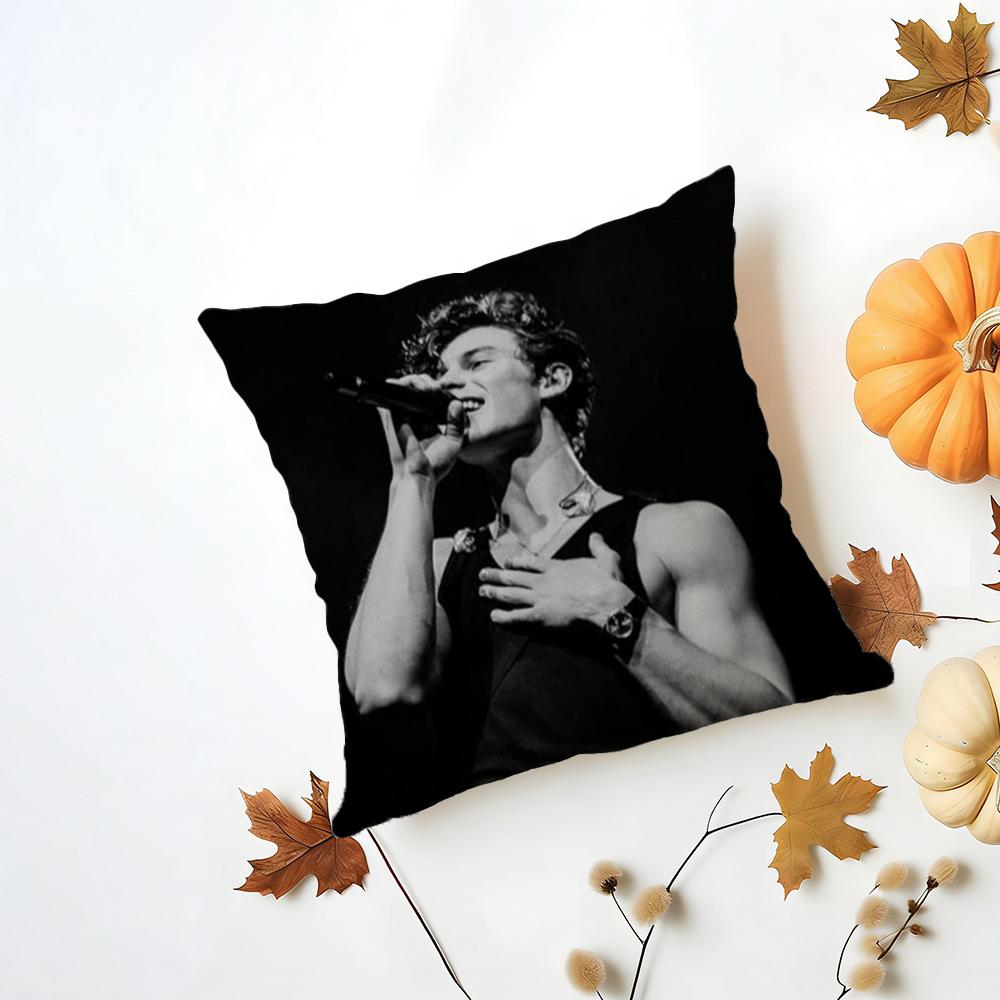Singer SShawn Mendes Cushion Cover Iceland Washable Linen Soft  for Daily Sofa Bed Home Room Decor