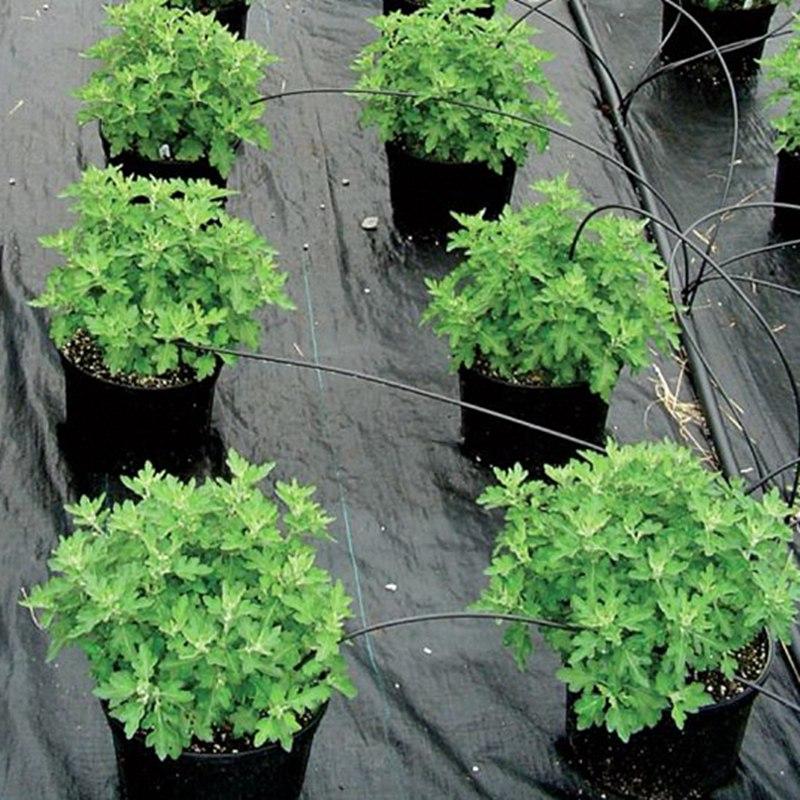 Complete Roll 100m 90GSM Farm Greenhouse Gardening Ground Fabric Vegetable Fruit Garden Grass Barrier Weed Control Mat