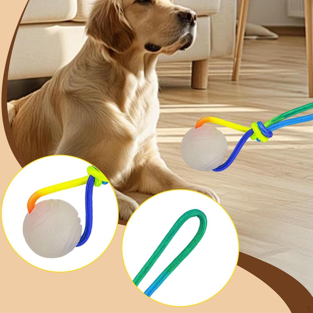 Dog Training Ball On Rope Toy Fit Small Medium Large Dogs, Soft, Exercise and Reward