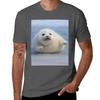 Chonky Seal Pup Hug TShirt Stylish Graphic Short Sleeve Top