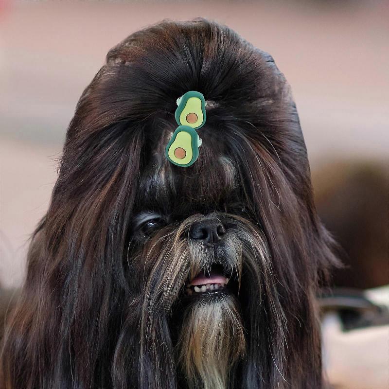 Cute Dog Hair Scrunchies Elastic Bands for Dog Hair Decoration 10Pcs