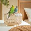 Removable Tray Parrot Desktop Stand Transparent Parrot Claw Platform Parrot Toilet  Grinding Claws